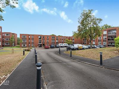 Picture 20